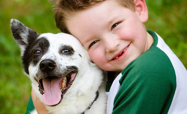 frontier pup rawhide