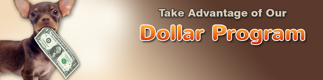 Dollar Program
